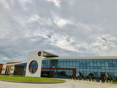 洽洽开启坚果品牌全球化新征程，今娱生活引领健康休闲新风尚